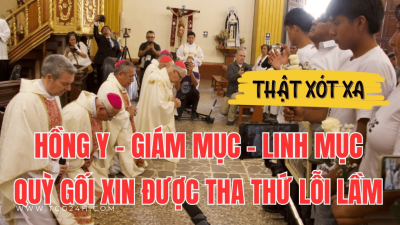 Giáo hội Peru quỳ gối xin lỗi các nạn nhân liên quan đến Sodalicio