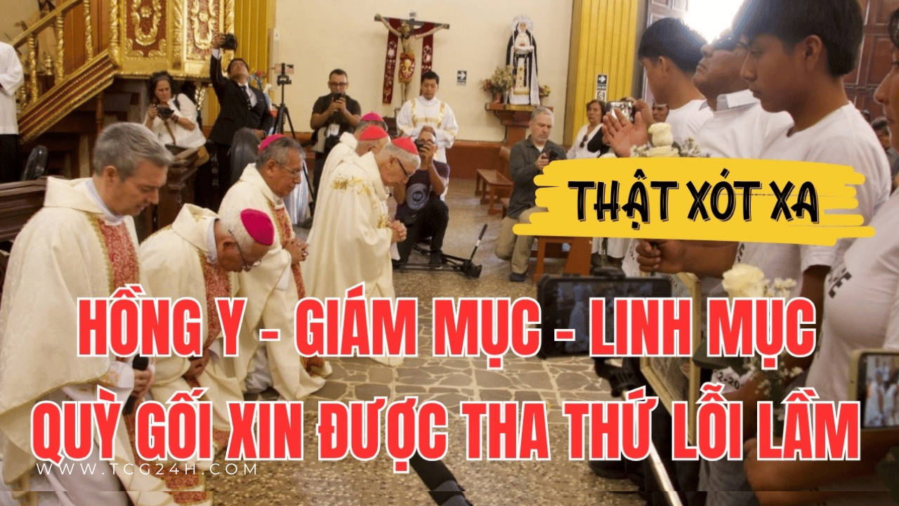 Giáo hội Peru quỳ gối xin lỗi các nạn nhân liên quan đến Sodalicio
